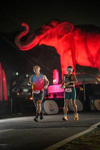 BIB: 
                            <button type="button" onclick="openModal(26531031)" class="btn btn-primary btn-sm float-right btn-popup" data-toggle="modal" data-target=".modal-high-quality">
                        <i class="fas fa-shopping-cart"></i> Add to Cart
                    </button>
                                            <button type="button" onclick="isThisMe(26531031, true)" class="btn btn-success btn-sm float-right btn-popup btn-isme hidden" data-toggle="tooltip" data-placement="bottom" title="นี่คือรูปของคุณใช่ไหม คลิกที่นี่เพื่อเอาเข้าอัลบั้ม">
                        <i class="fas fa-plus"></i> Add to album
                    </button>
                    <button type="button" onclick="isThisMe(26531031, false)" class="btn btn-warning btn-sm float-right btn-popup btn-isnotme hidden">
                        <i class="fas fa-ban"></i> Remove from album
                    </button>